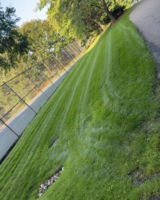Striped lawn and flower bed detail