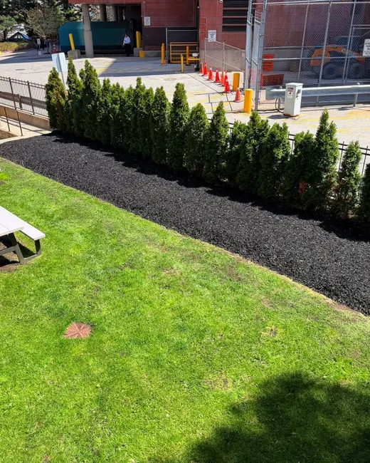 Privacy planting and mulch finish