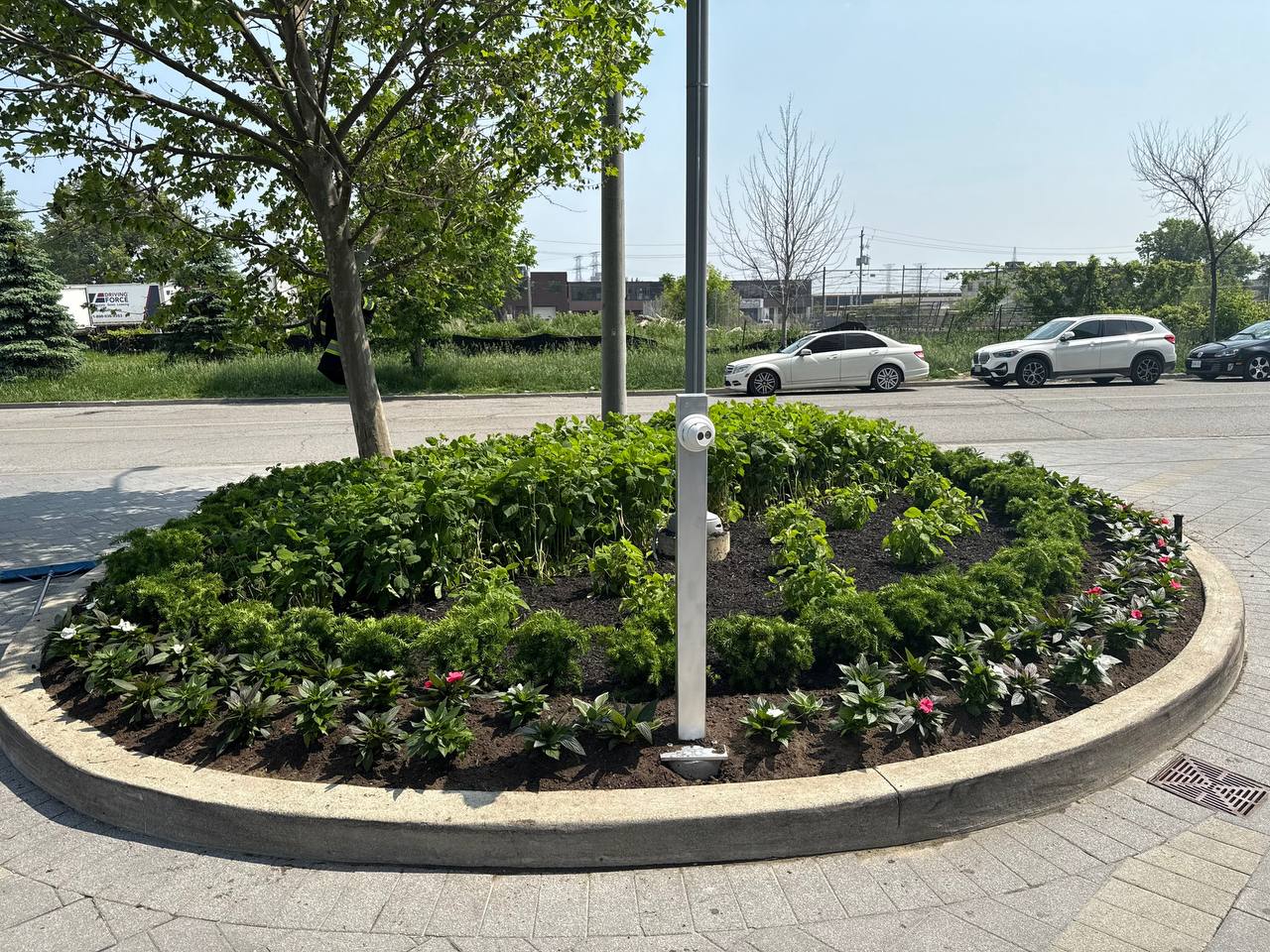 Commercial planting bed refresh