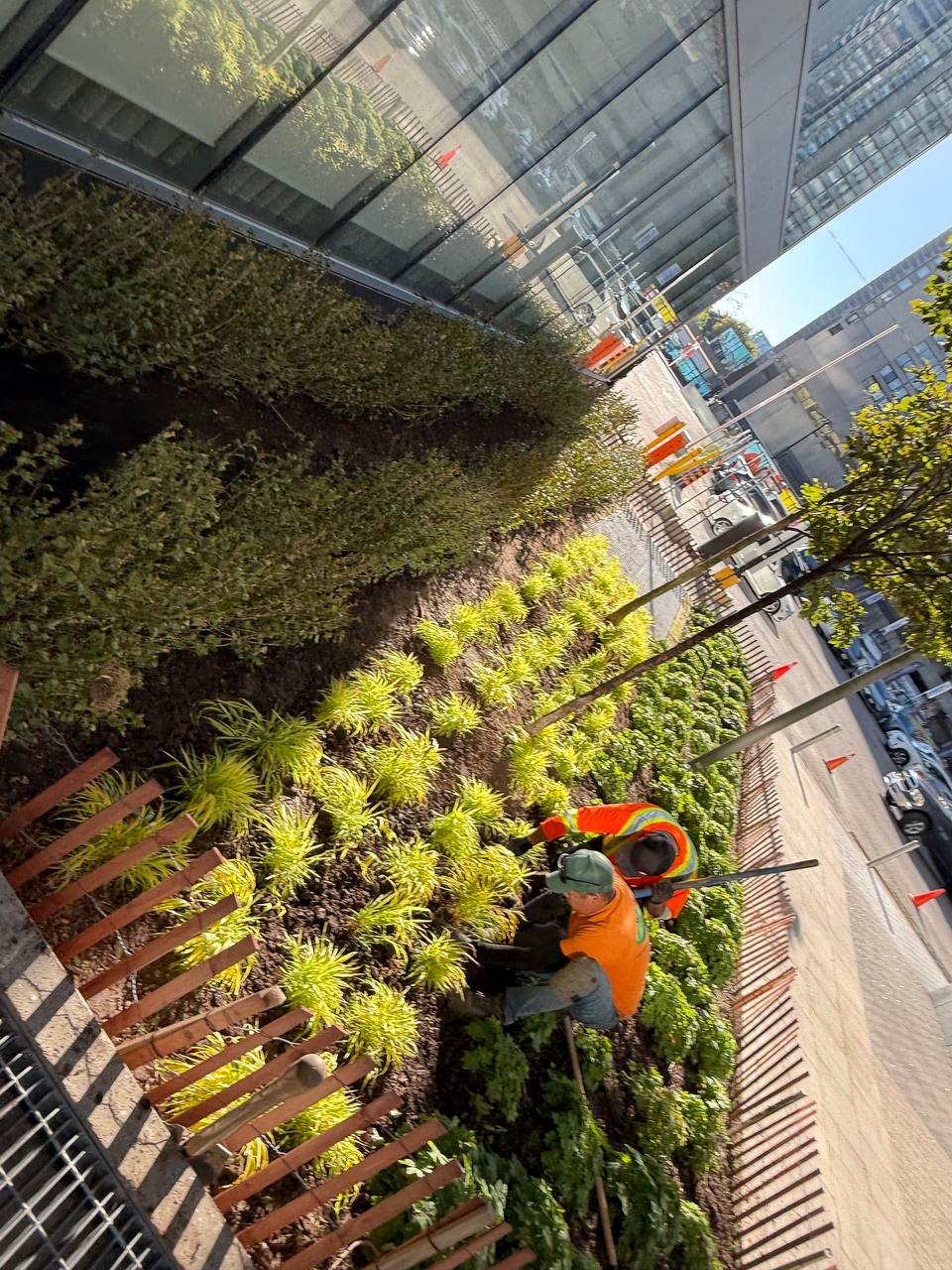Urban planting bed install
