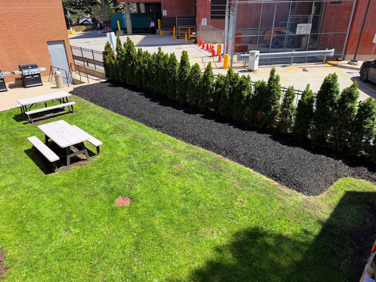 Privacy planting and mulch finish