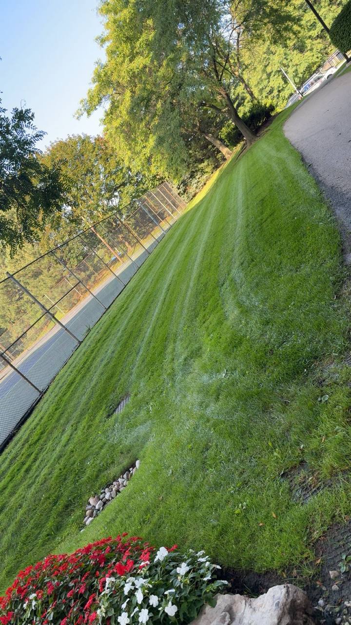 Striped lawn and flower bed detail